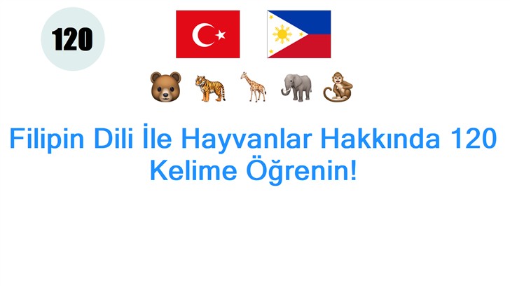 Filipin Dili İle Hayvanlar Hakkında 120 Kelime Öğrenin!